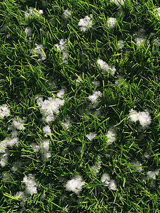 雪纹理摄影照片_草地上的雪纹理
