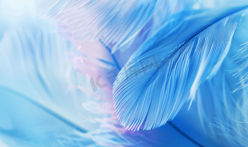 中国蓝云纹摄影照片_彩色特写羽毛柔软的蓝色花纹纹理背景