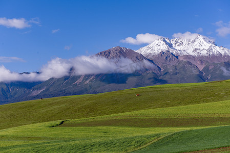 晴朗的早晨云雾绕缭的雪山及山下的农田