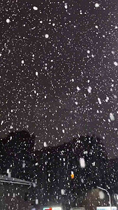 灯光素材摄影照片冬天城市夜晚下雪唯美雪景夜景实拍