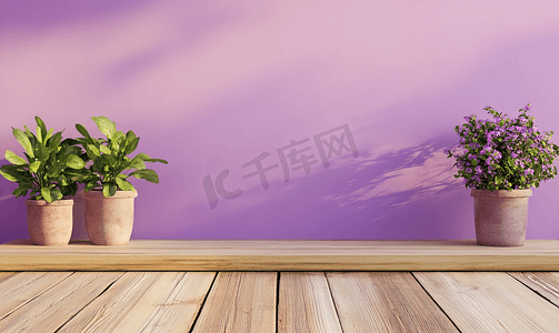 粉红色清澈的紫罗兰色木板墙用木板木材纹理背景