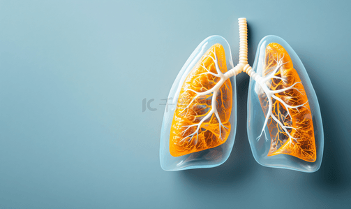 吸烟前后肺部图片背景图片_肺部气管呼吸内科