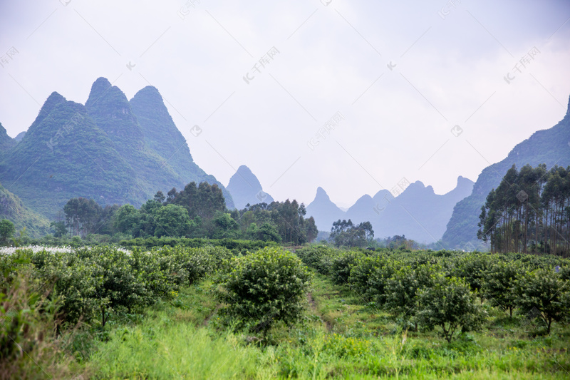 温柔梦幻浪漫婚礼周年纪念