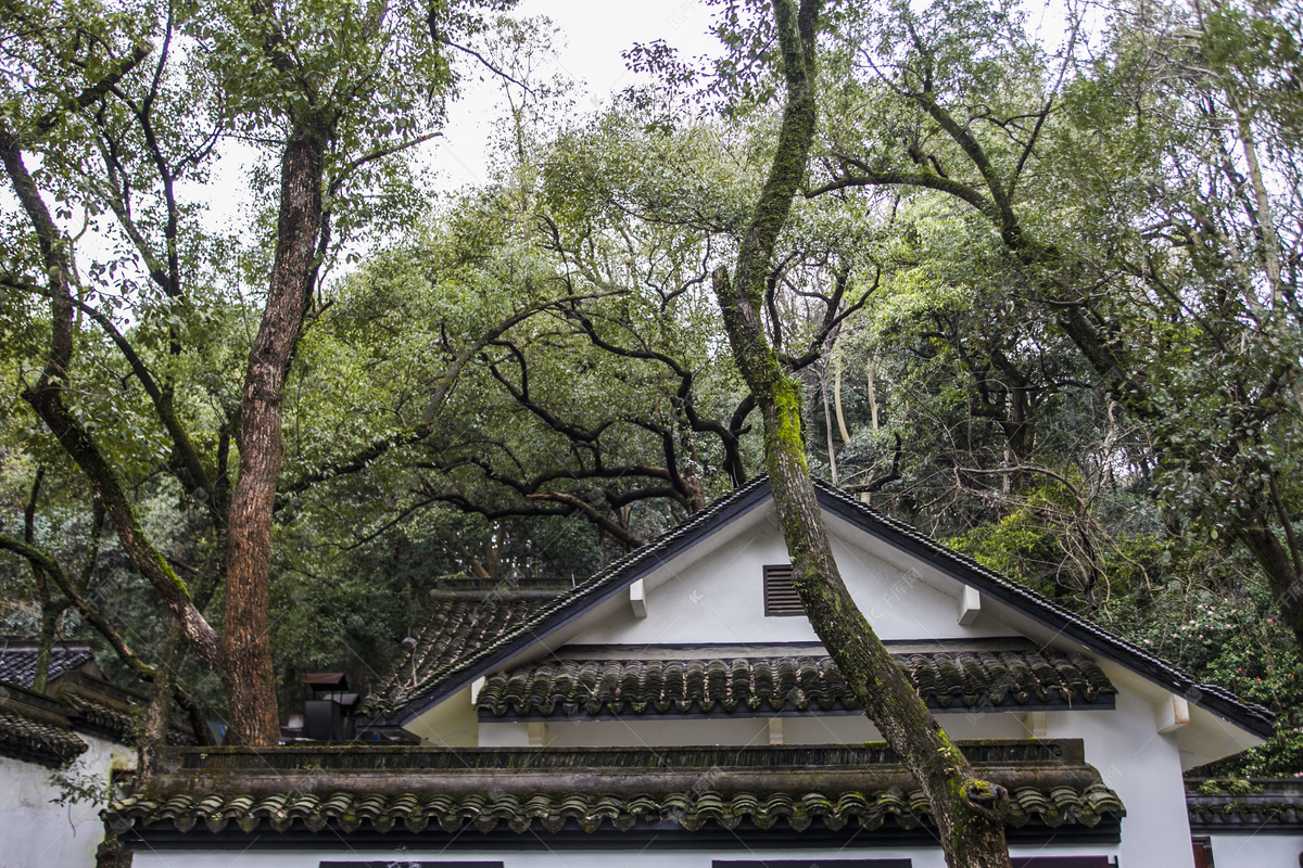 空灵空洞配乐音频素材_梦幻空灵的影视剧配乐