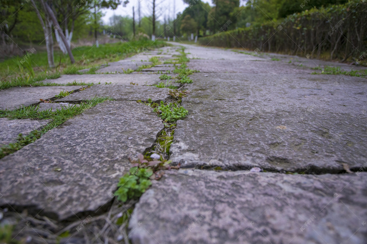 户外的石板小路1