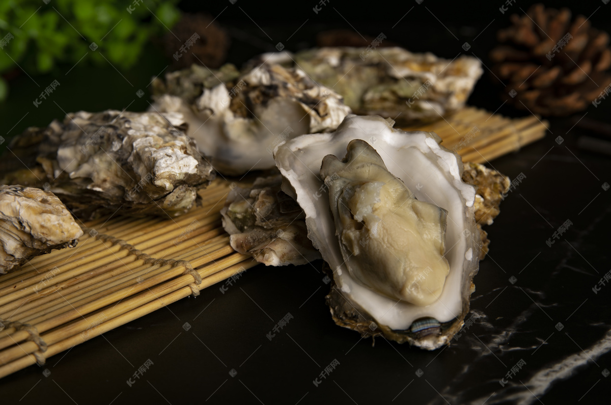 蚝干（SS）│ Dried Oyster（SS） – 蓝海海味 Blue Ocean Dried Seafood
