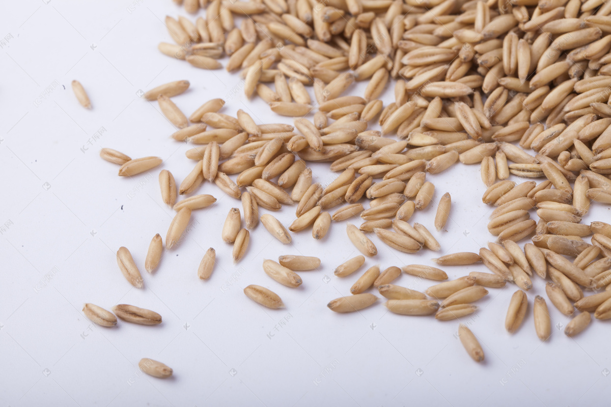 小麦颗粒素材-小麦颗粒图片-小麦颗粒素材图片下载-觅知网