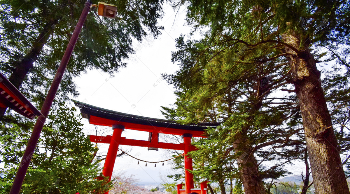 神圣电影片头庄严开场