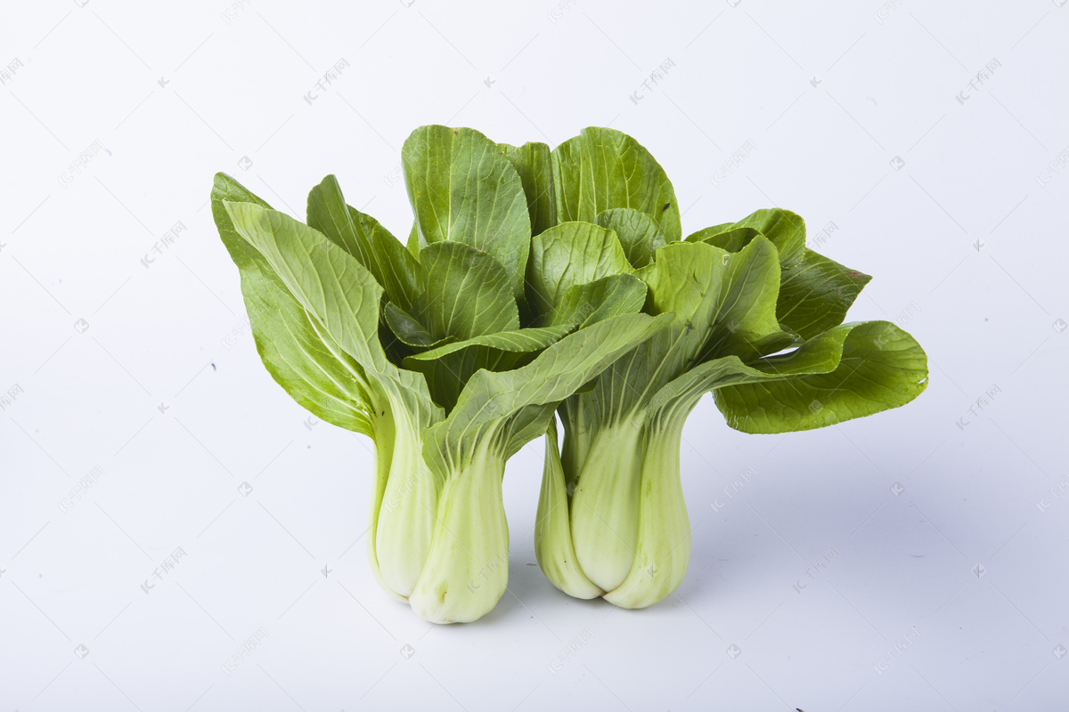 蔬菜青菜摄影图高清摄影大图-千库网