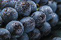 黑葡萄水果摄影图