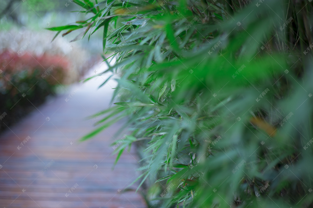 沂源苹果配乐音频素材_纯粹的幸福欢乐轻快云月