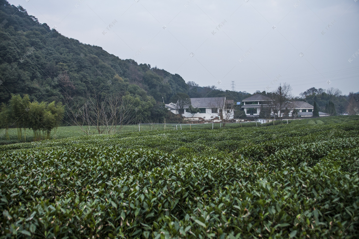 新春直播配乐音频素材_闪耀的新年喜庆时光背景音乐