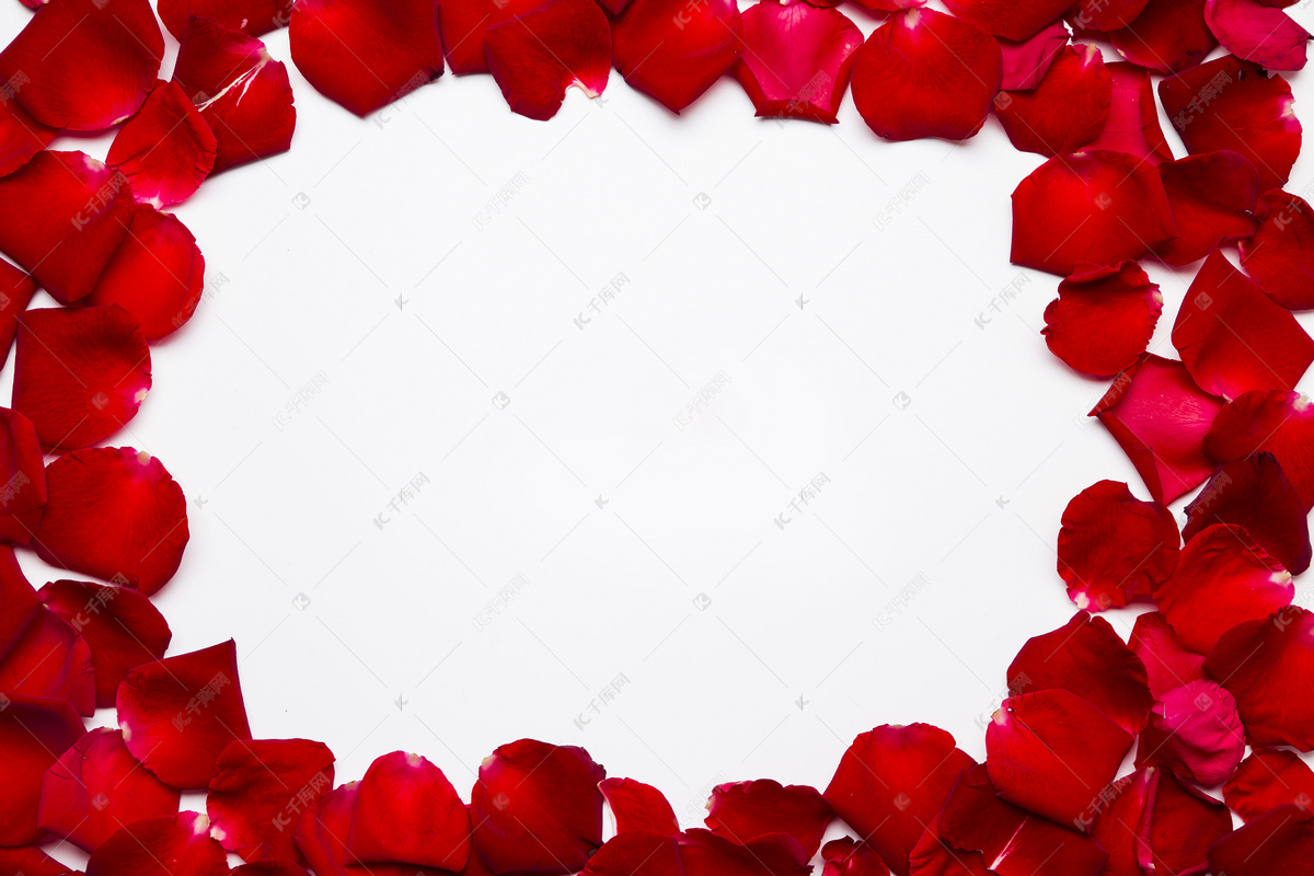 画 玫瑰 花的 粉红色 花瓣 浪漫 春图片下载 - 觅知网