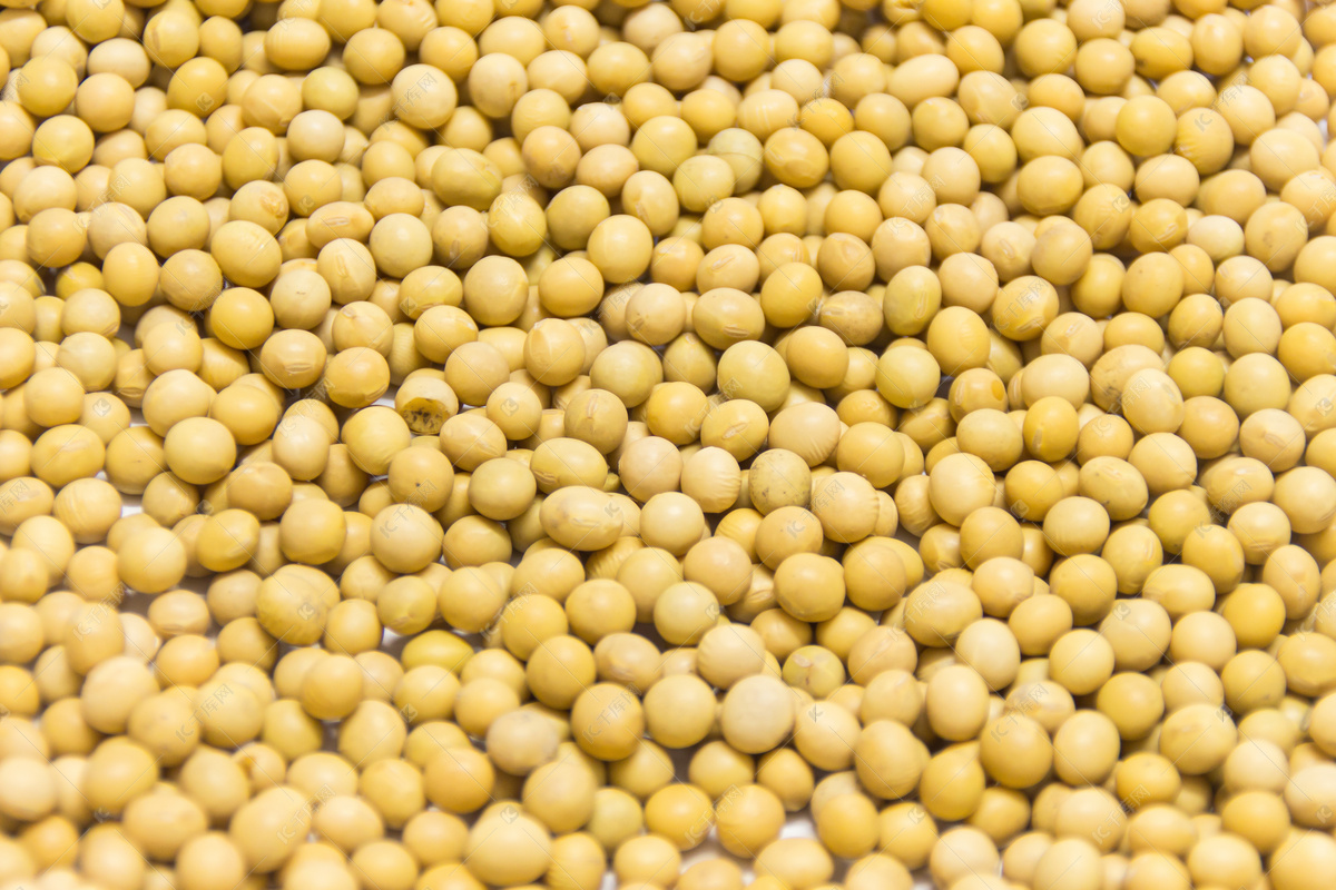 将黄豆制成有机肥,仅需这几步,你学会了吗?|大豆|黄豆|有机肥_新浪新闻