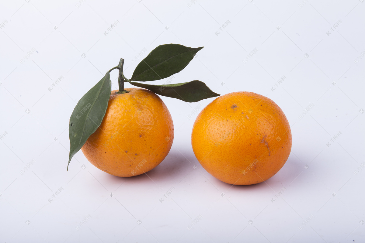 桔子 橘子图片_水果_生物世界_图行天下图库