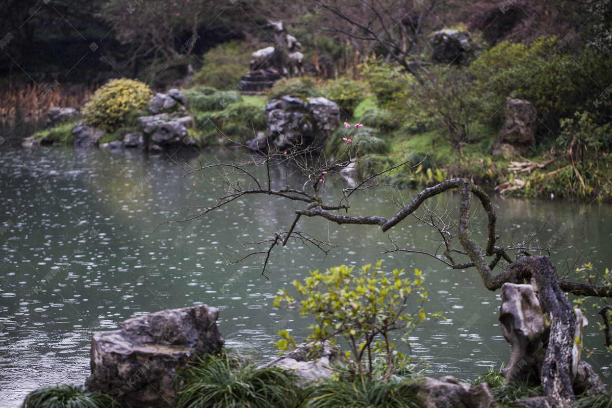 花落花开无间断春来春去不相关 杭州植物园有大面积的彼岸花盛开