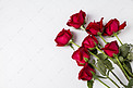 情人节红玫瑰摄影图