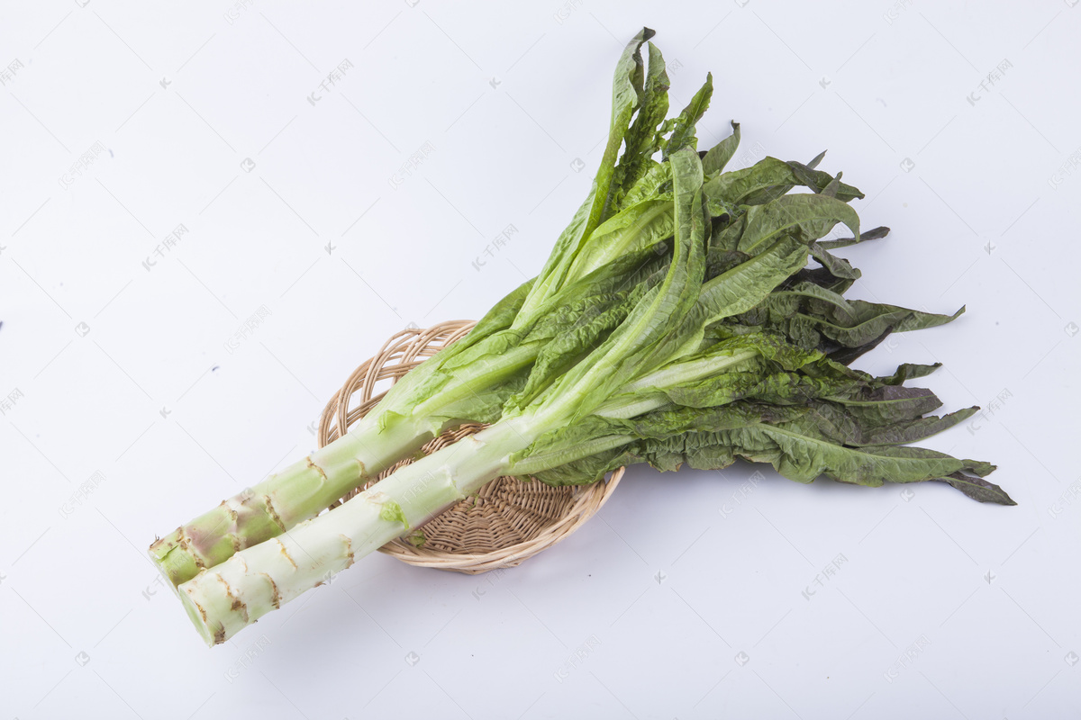 什么是油麦菜蔬菜 油麦菜是莴笋叶吗？它俩有啥区别？_华夏智能网