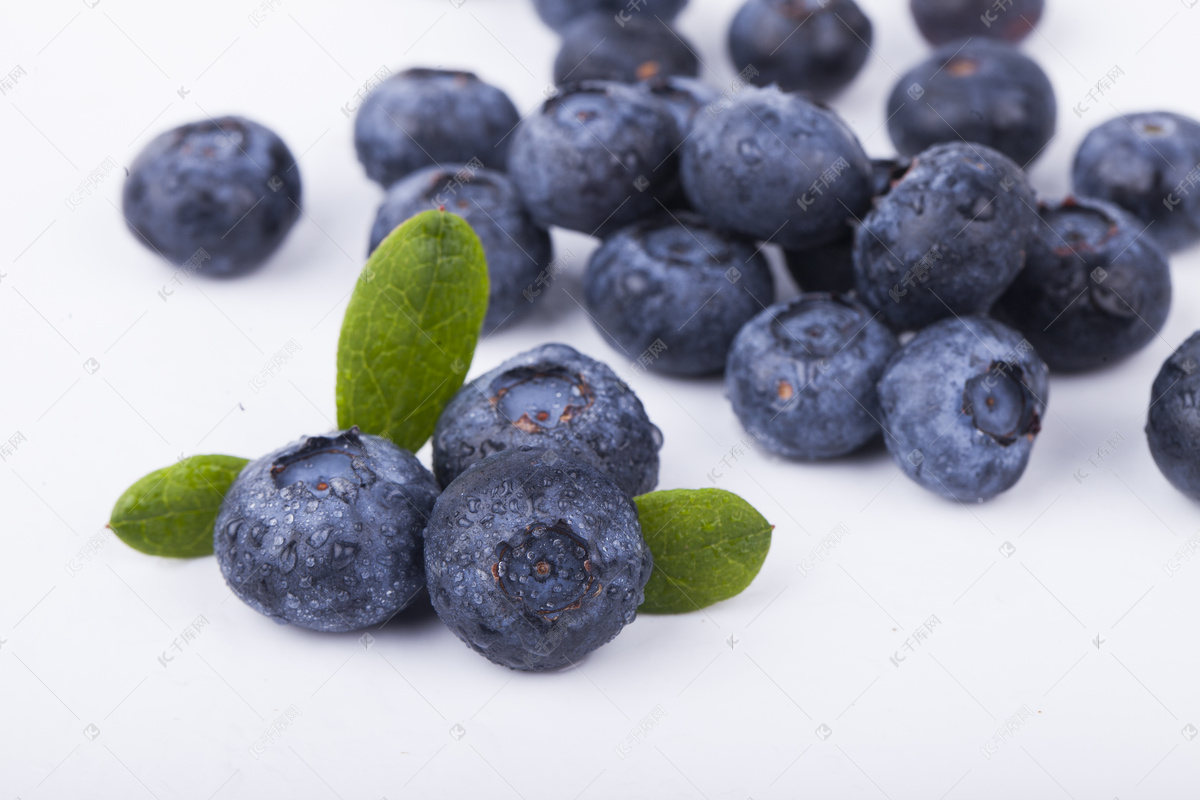 营养价值高的蓝莓，都有什么开发应用？ - 知乎