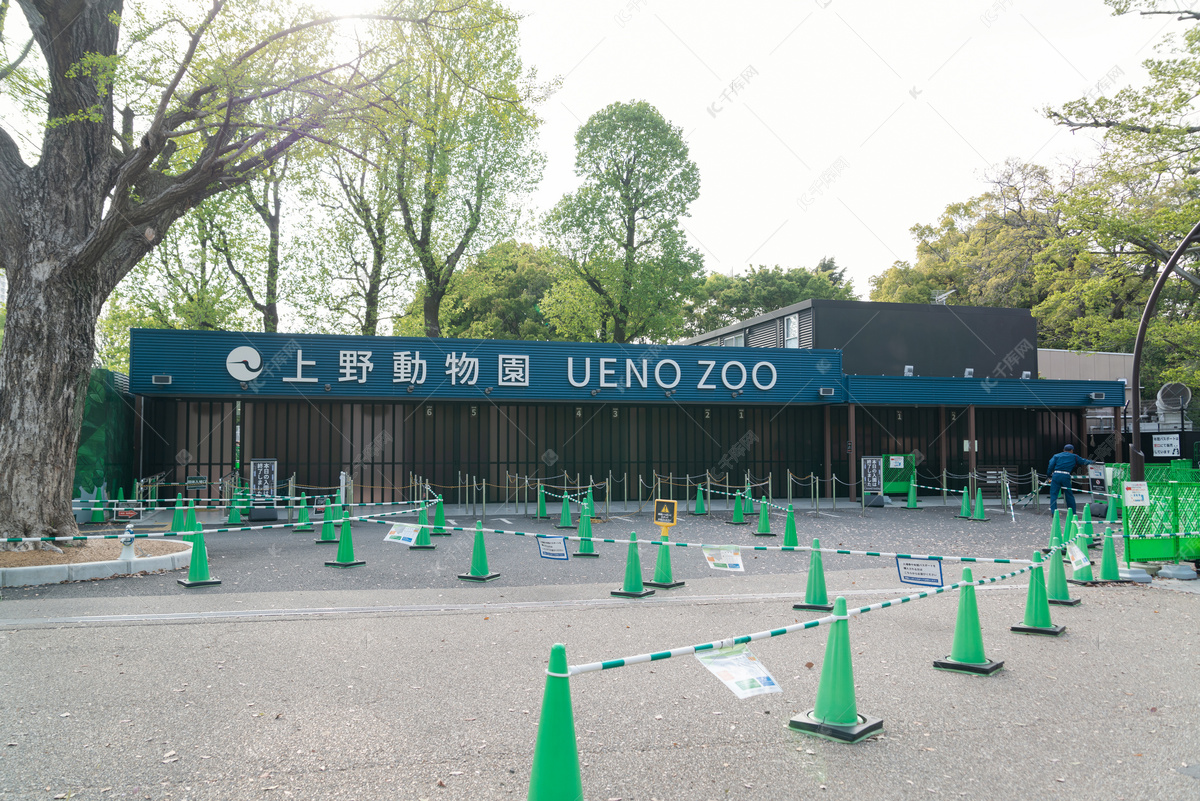 电视节目开场明快背景音乐