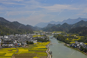 春天油菜花田山脉自然风景摄影图