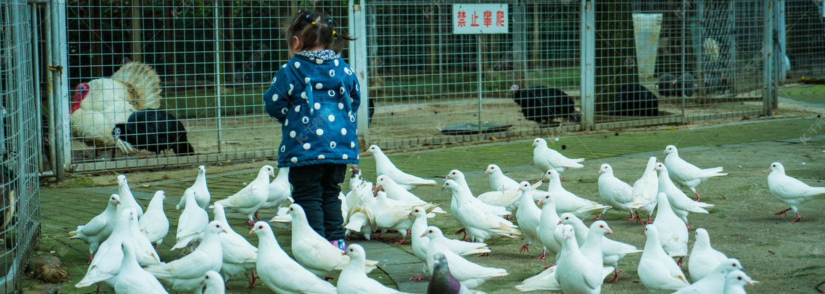 电子邀请函模板配乐音频素材_鼓舞人心的电子嘻哈打击乐科技企业宣传