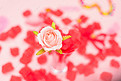 浪漫520情人节玫瑰摄影图