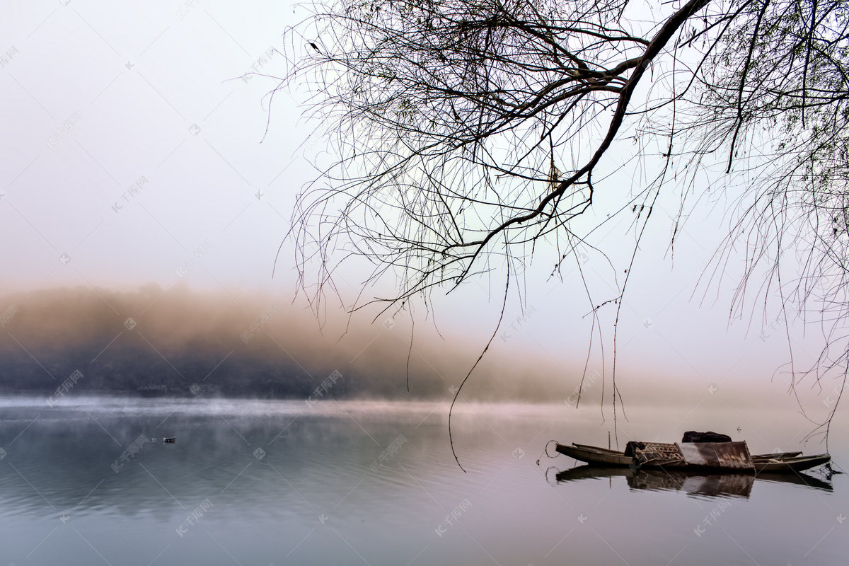 큰 나무 한 호수 사진 무료 다운로드 - Lovepik
