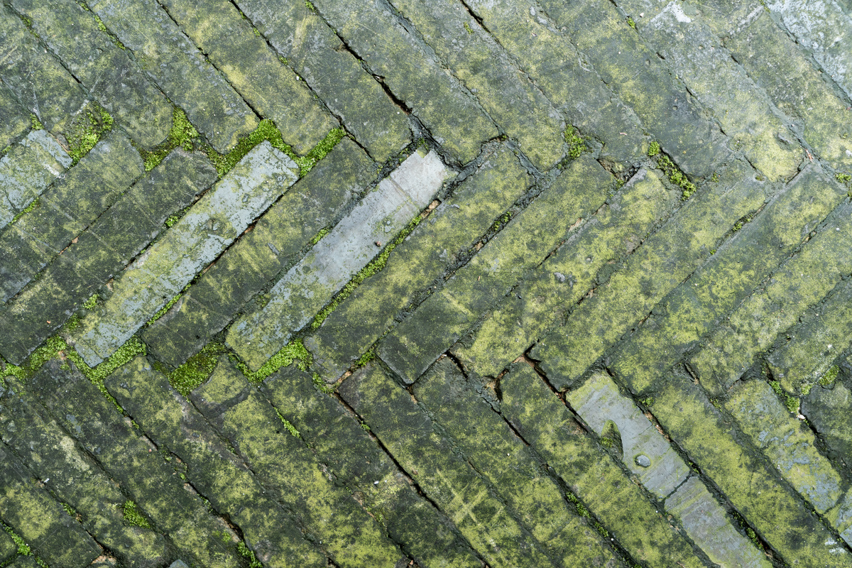 青苔石地砖墙砖摄影