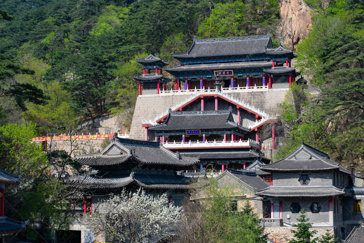 种树场景配乐音频素材_综艺场景音效