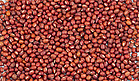 红豆豆类摄影图