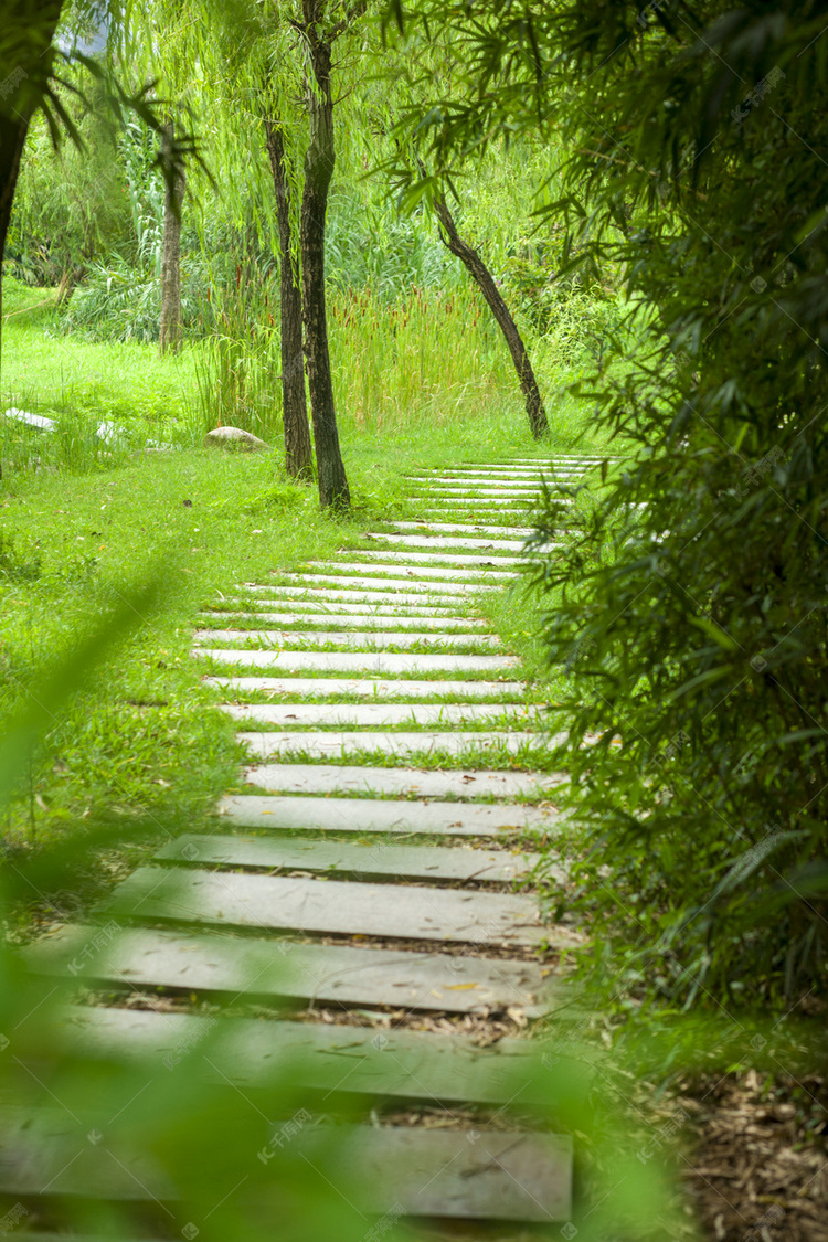 林间小道摄影图