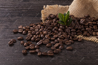 可可豆图片素材_ 可可豆摄影图