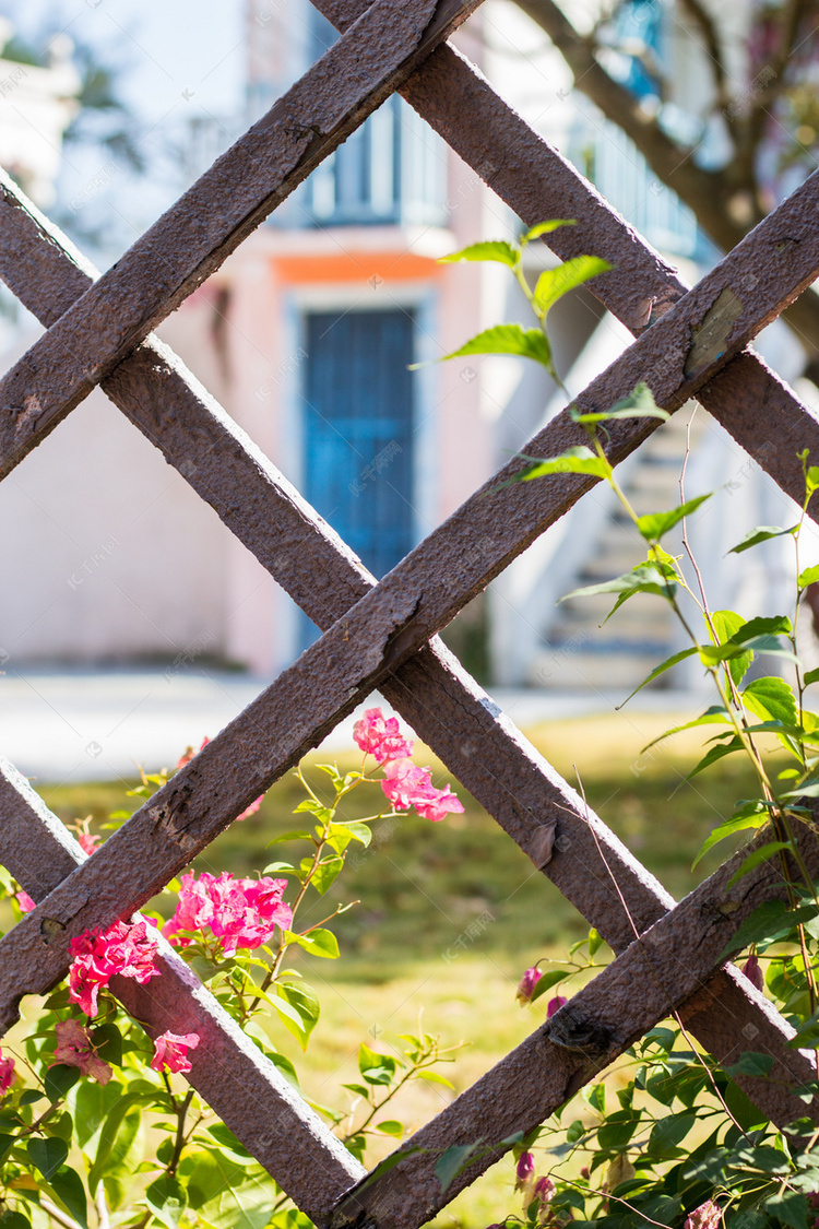 木栅栏绿植摄影图