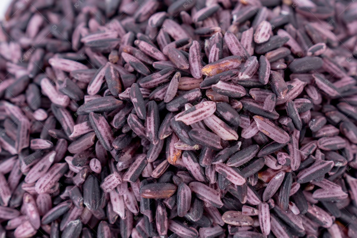 Purple Rice Picture And HD Photos | Free Download On Lovepik