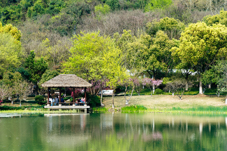 湿地公园踏春摄影图