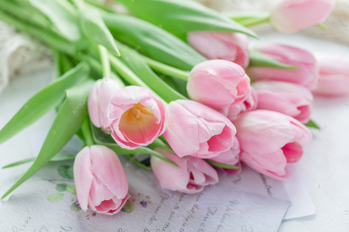 浪漫花束头像分享 玫瑰&郁金香 - 堆糖，美图壁纸兴趣社区
