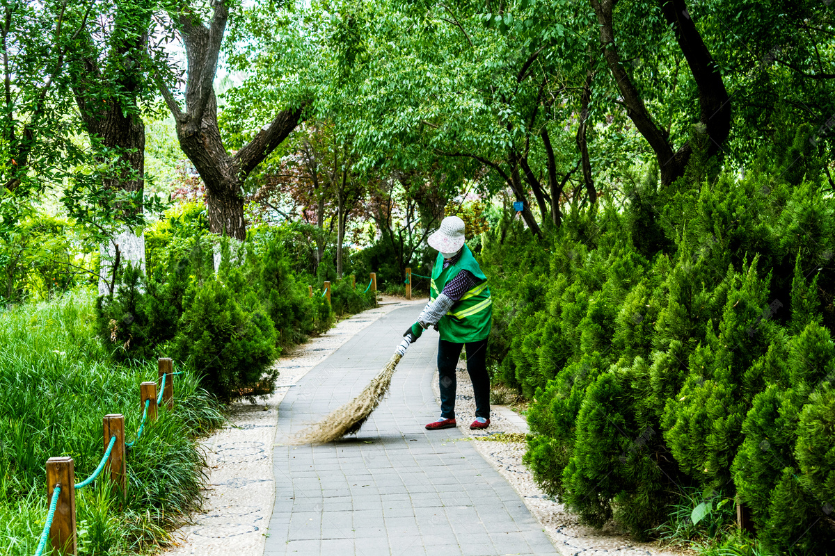 道路清洁环卫工人绿色植物摄影图