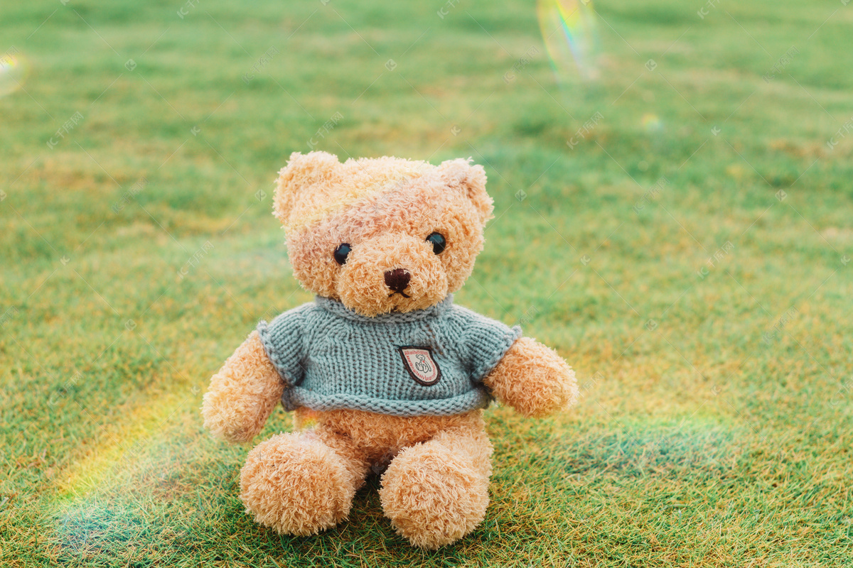 玩具毛绒熊摄影图高清摄影大图-千库网