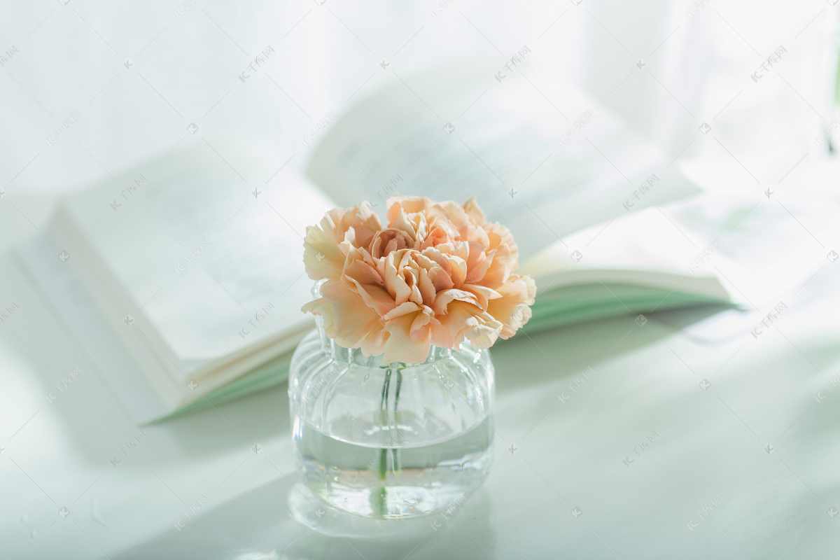 壁纸 粉红色的玫瑰花与书 1920x1200 HD 高清壁纸, 图片, 照片