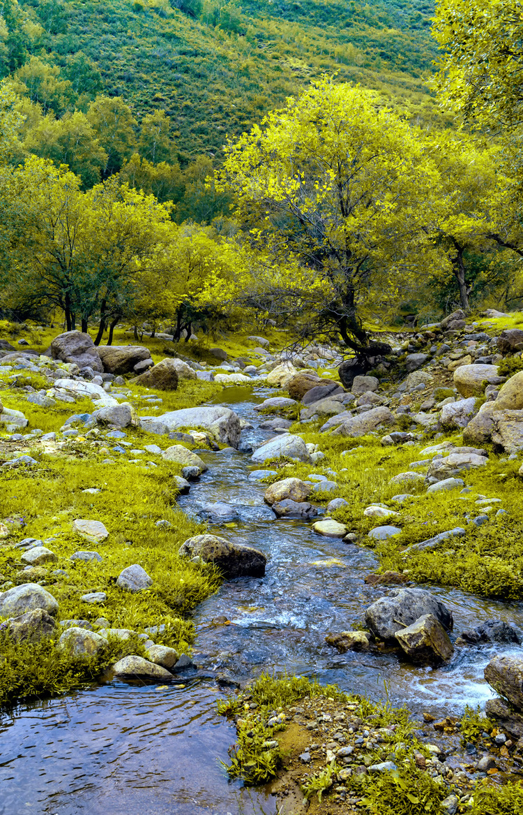 内蒙古大青山沟壑小溪摄影图高清摄影大图-千库网