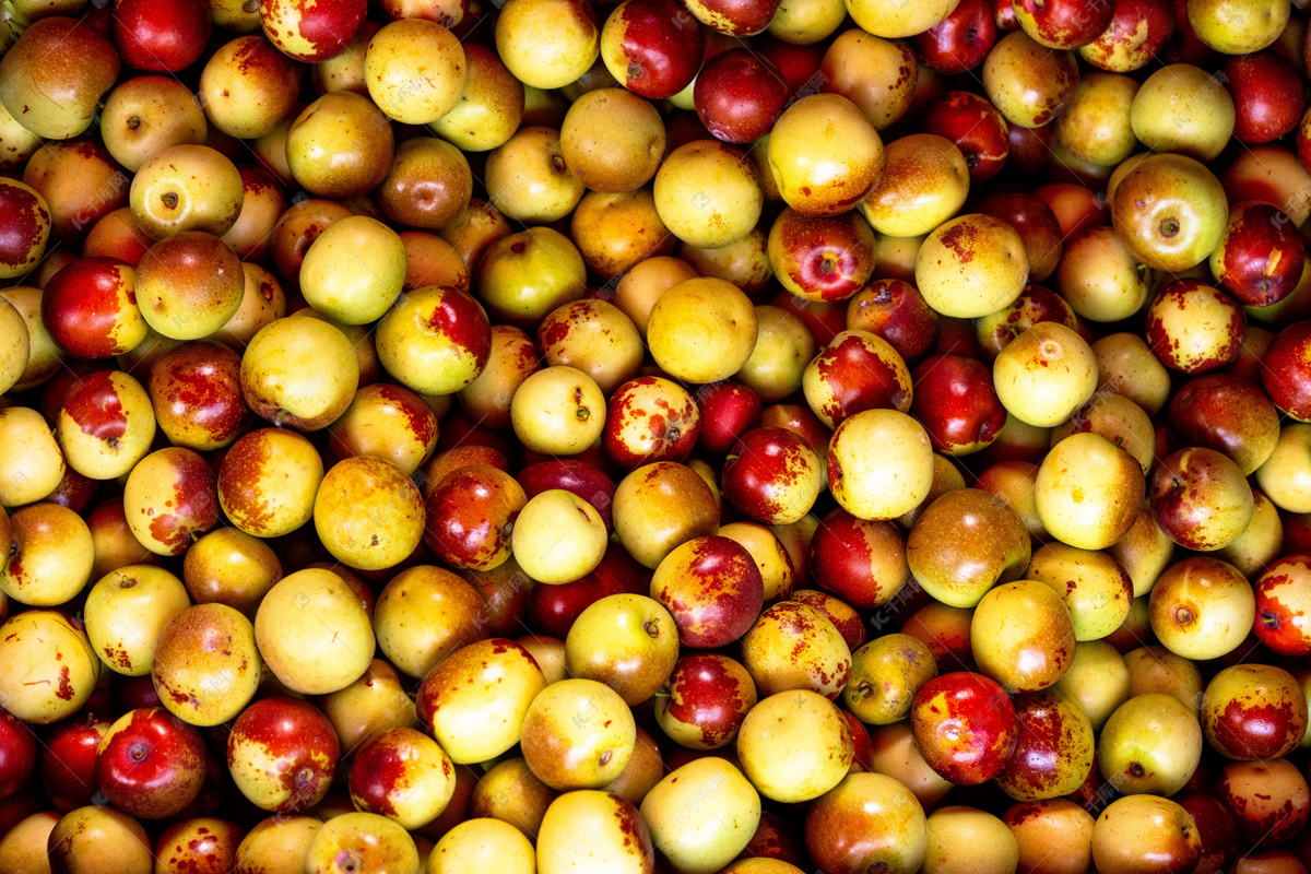 水果冬枣摄影图