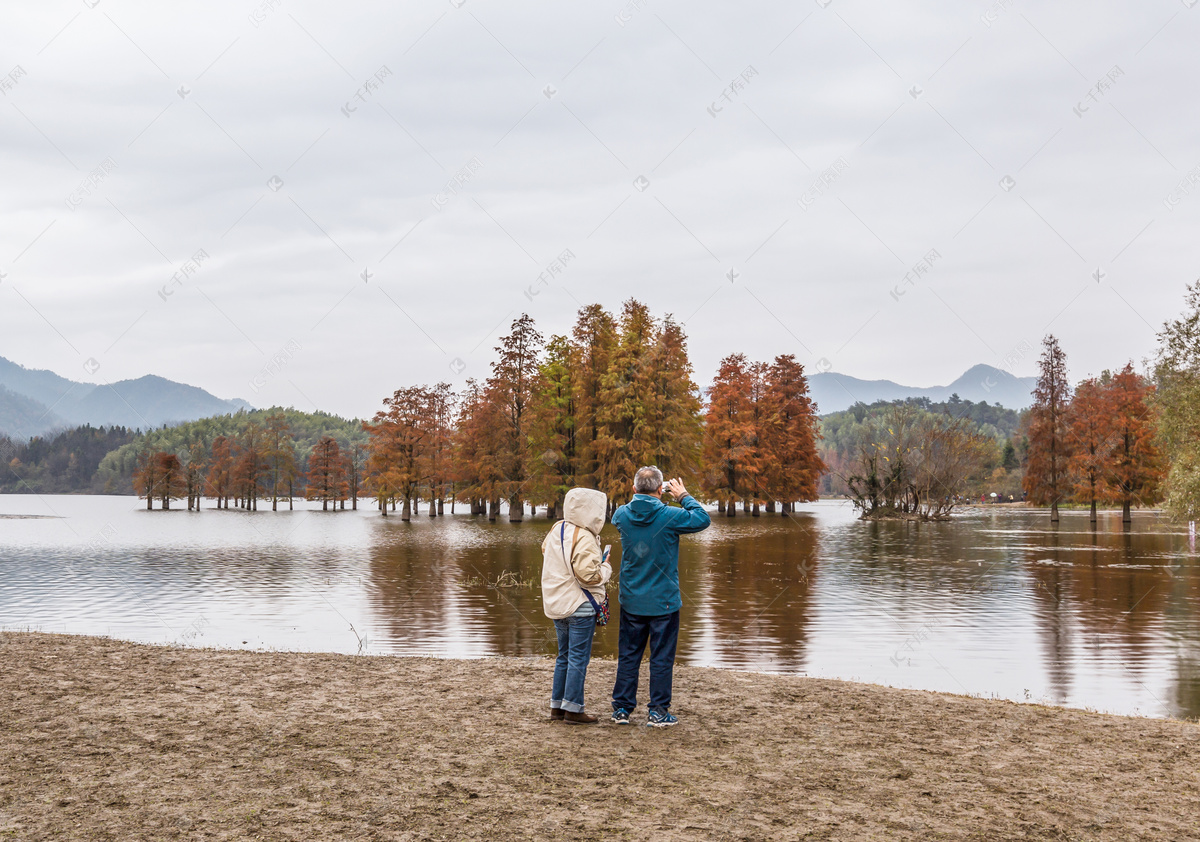一对老年夫妇带着狗在秋天的森林里散步。照片摄影图片_ID:302944180-Veer图库