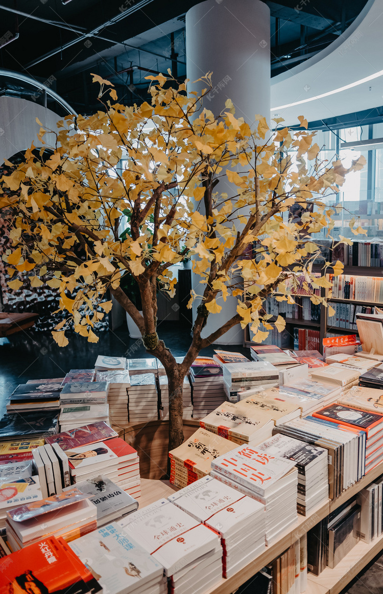 图书阅读 读书书本学习书吧室内场景摄影图配图高清摄影大图-千库网