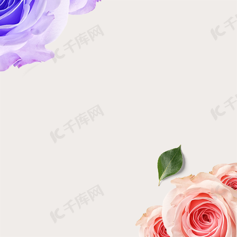 玫瑰花简约化妆品psd分层主图背景素材背景图片免费下载 海报banner Psd 千库网 图片编号