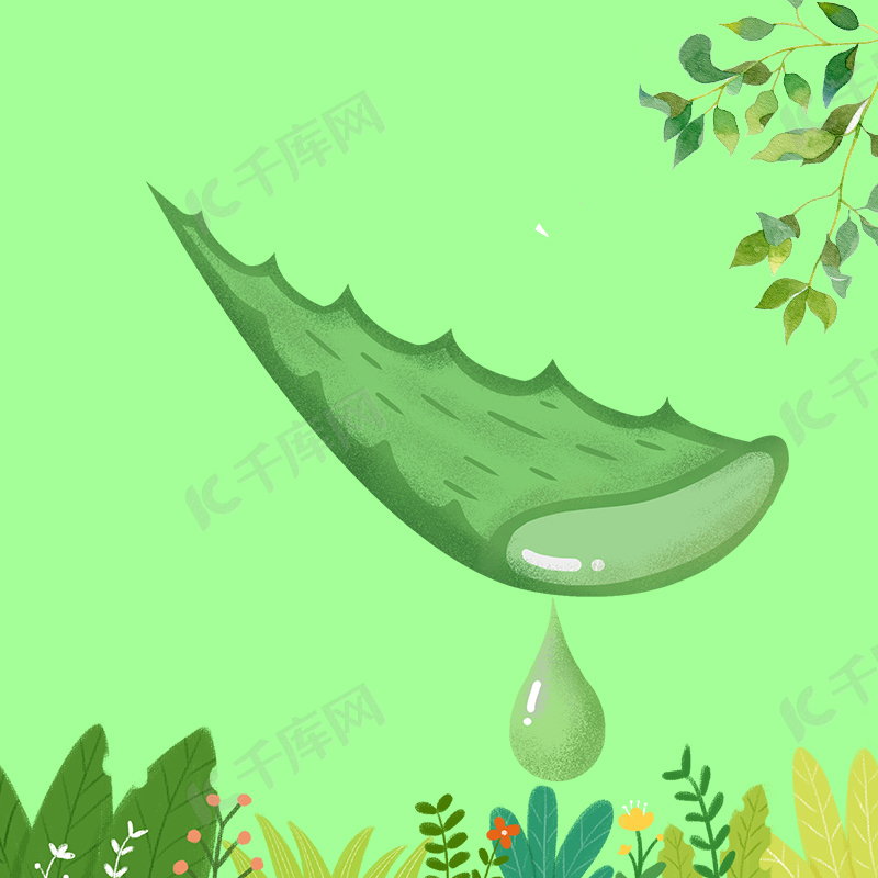 绿色植物芦荟护肤品psd分层主图背景图片免费下载 海报banner Psd 千库网 图片编号 绿色植物芦荟护肤品psd分层主图背景图片免费下载 海报banner Psd 千库网 图片编号