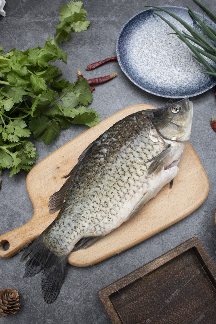 摄影图库 海产 海产白天鲫鱼厨房静物摆拍摄影图配图