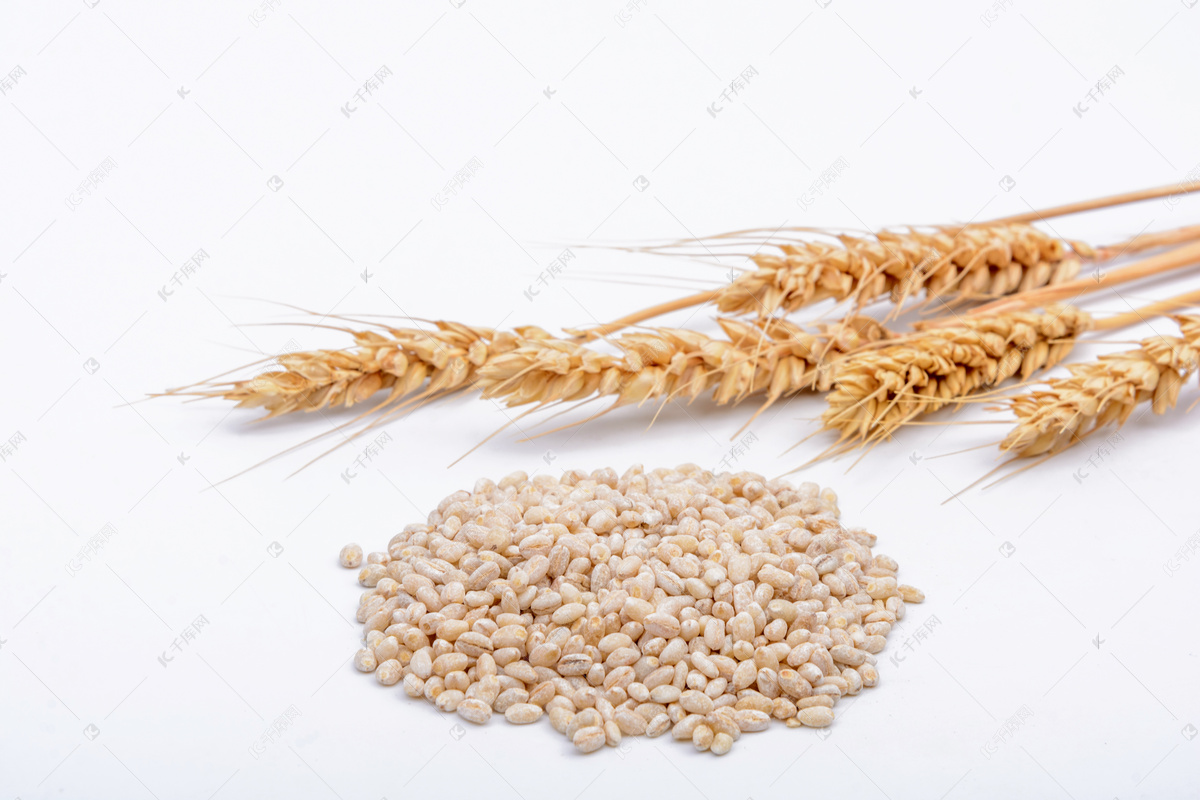 麦仁是小麦仁吗,麦子是麦仁吗,小麦吗_大山谷图库