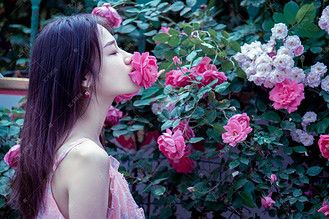 夏天早上花草蔷薇花美女户外闻花香摄影图配图