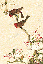 中国风古典工笔花鸟画海报背景